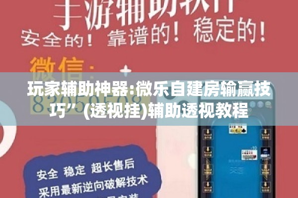 玩家辅助神器:微乐自建房输赢技巧	”(透视挂)辅助透视教程