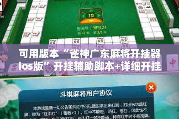 可用版本“雀神广东麻将开挂器ios版	”开挂辅助脚本+详细开挂安装教程