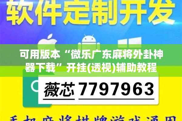 可用版本“微乐二七王辅助插件”其实确实有挂
