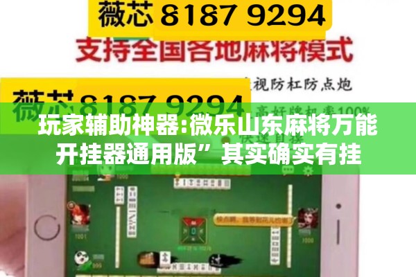 玩家辅助神器:微乐山东麻将万能开挂器通用版	”其实确实有挂