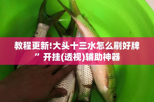 [教程经验]“手机微乐干瞪眼怎么来好牌”开挂辅助脚本+详细开挂安装教程