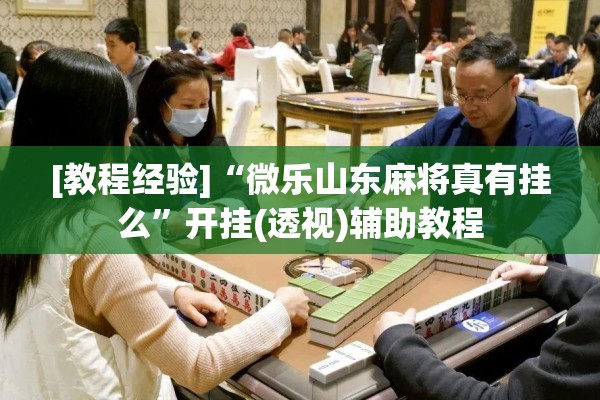 [教程经验]“微乐山东麻将真有挂么	”开挂(透视)辅助教程